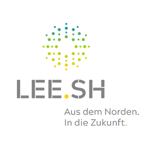 Logo leesh