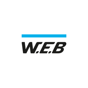 Logo WEB