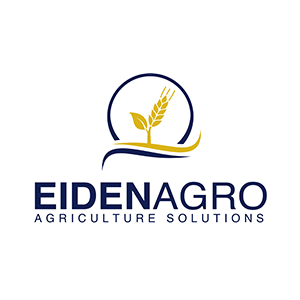 Logo eiden